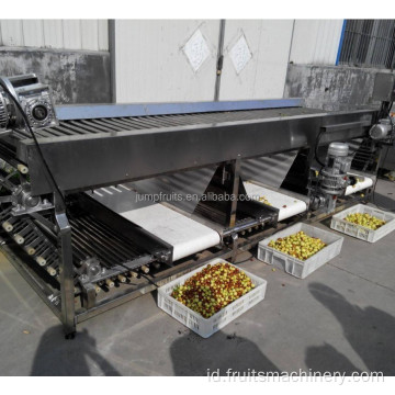 Mesin penyortiran sekrup buah yang dirancang dengan conveyor